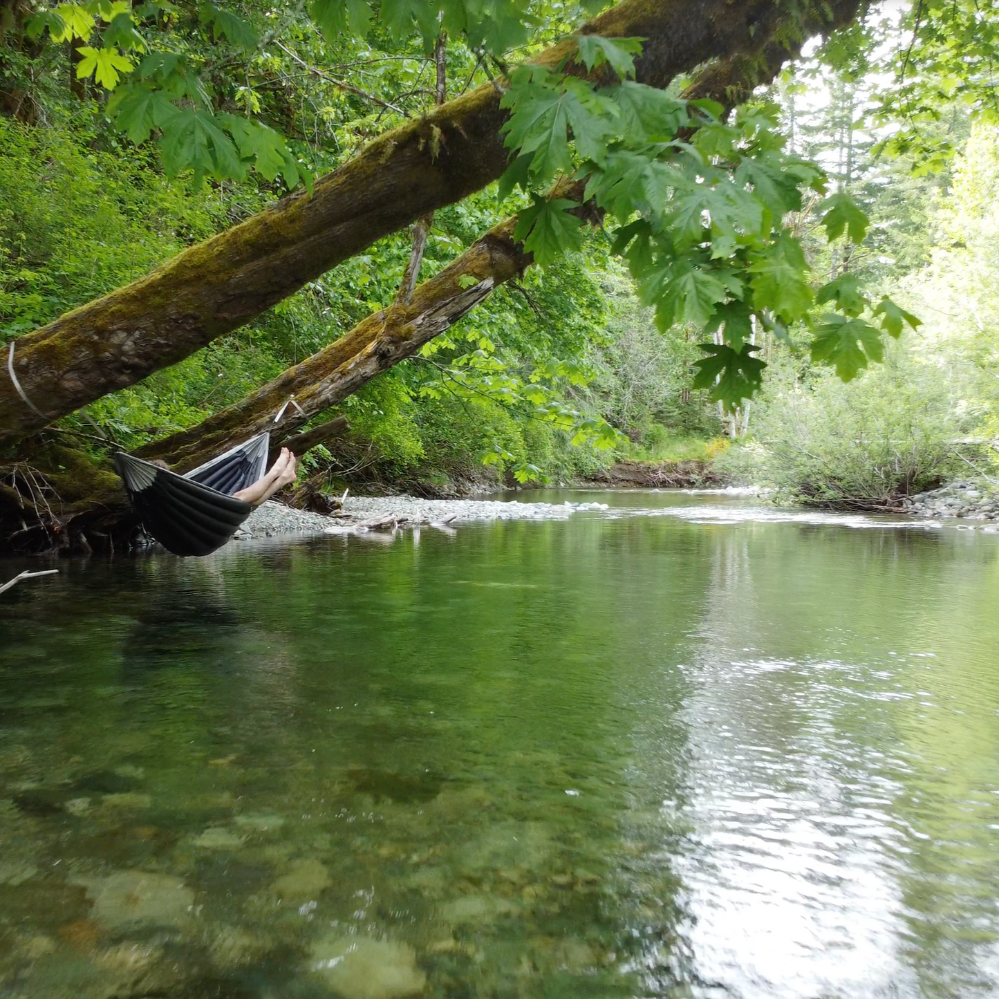 Hammock hanging from a tree over a calm stream in a forest